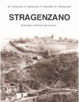 Stragenzano v5